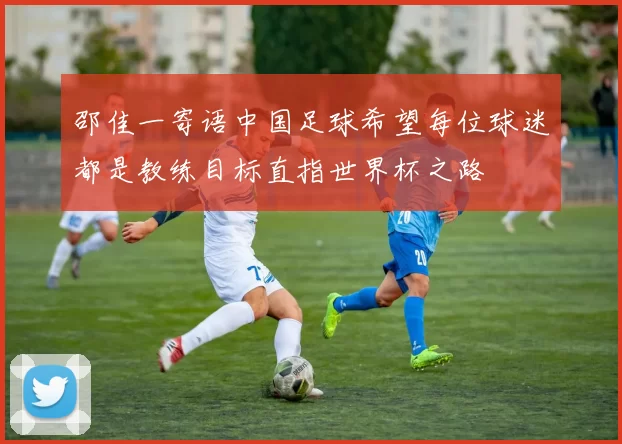 邵佳一寄语中国足球希望每位球迷都是教练目标直指世界杯之路