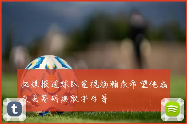 拓媒报道球队重视杨瀚森希望他成交易筹码换取字母哥