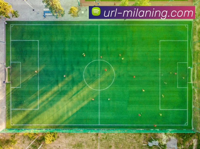 多媒体互动体验